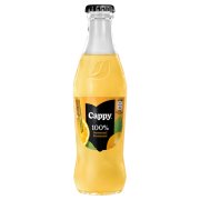 Cappy 0,25l - Pomaranč 1/24 100%
