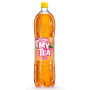 Rauch My Tea Broskyňa 1,5l Plast 1/6 ( Z )