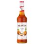 Monin Tekvica 0,7l