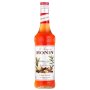 Monin Winter Spice 0,7l