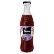 Cappy 0,25l - Čierna Ríbezla 1/24