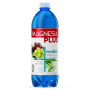 Magnesia PLUS Revital HROZNO / ALOE VERA 0,7l ( Z ) 1/6