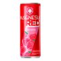 Magnesia Malina Red 0,33l 1/4 ( plech ) ( Z )