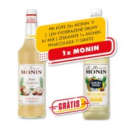 Monin Kokos 1l