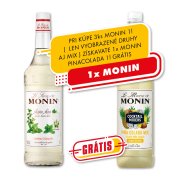 Monin Mojito 1l