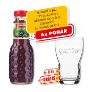 Granini Čierna Ríbezľa sklo 0,2l VF