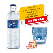Budiš Tichá 0,33l 1/24