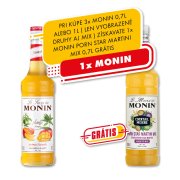 Monin Mango 0,7l