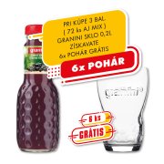 Granini Čierna Ríbezľa sklo 0,2l VF