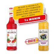 Monin Watermelon 0,7l