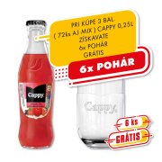 Cappy 0,25l - Jahoda 1/24