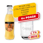 Cappy 0,25l - Pomaranč 1/24 100%