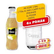Cappy 0,25l - Hruška 1/24