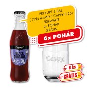 Cappy 0,25l - Čierna Ríbezla 1/24
