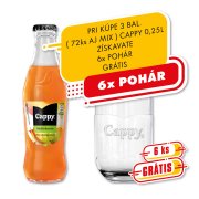 Cappy 0,25l - Multivitamín 1/24
