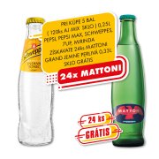 Schweppes INDIAN TONIC 0,25l 1/24