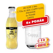 Cappy 0,25l - Ananás 51% 1/24