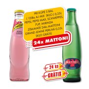 Schweppes PINK 0,25l 1/24