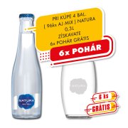 Natura Nesýtená 0,3l 1/24