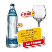 Gasteiner Perlivá 1l 1/12 ( sklo )