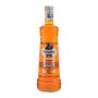 Puschkin Time Warp 17,7% 1l