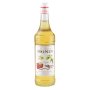 Monin Vanilka 1l