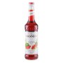 Monin Watermelon 0,7l
